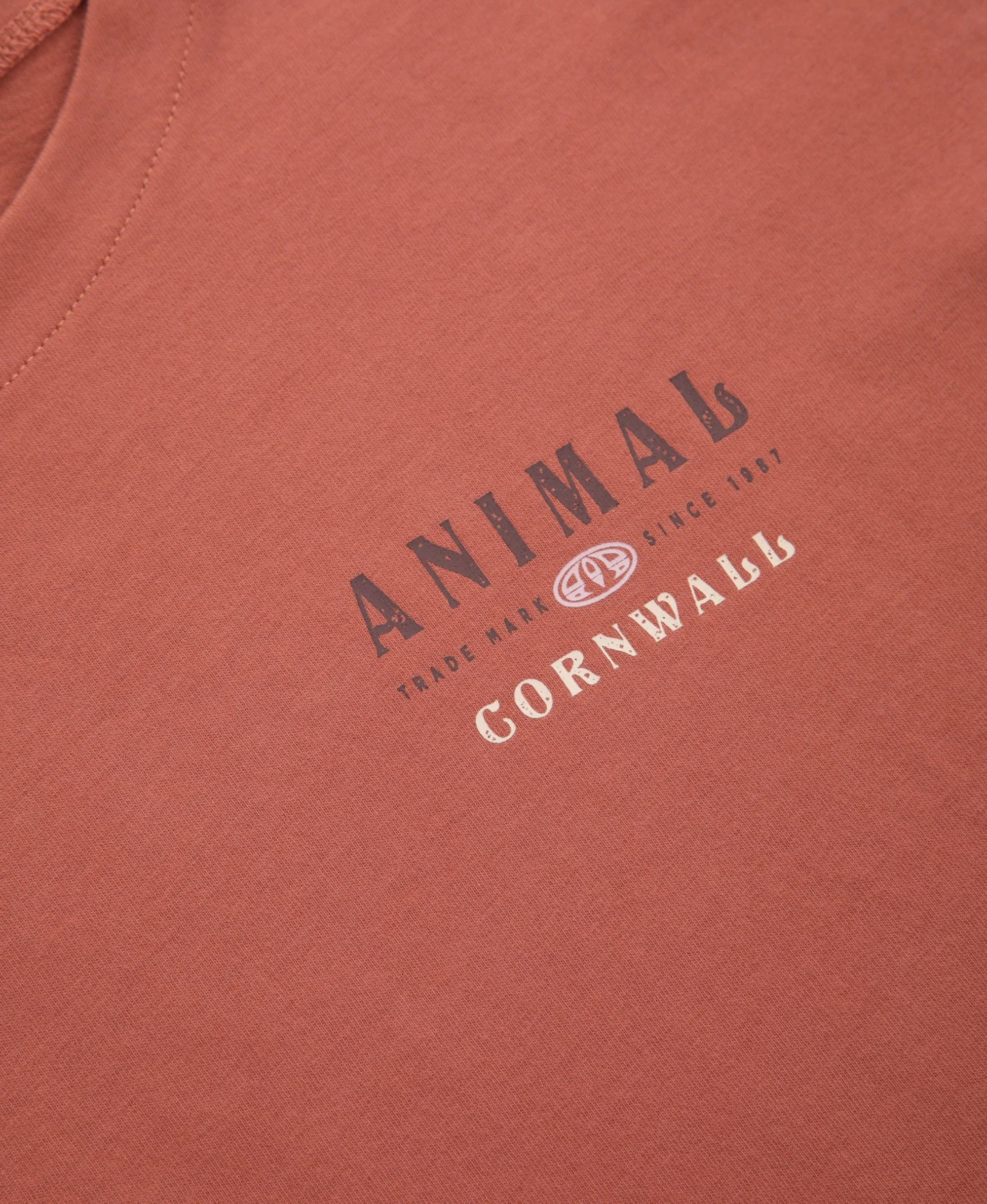 Animal Holly Womens Cornwall Tee - Rust - Image 3