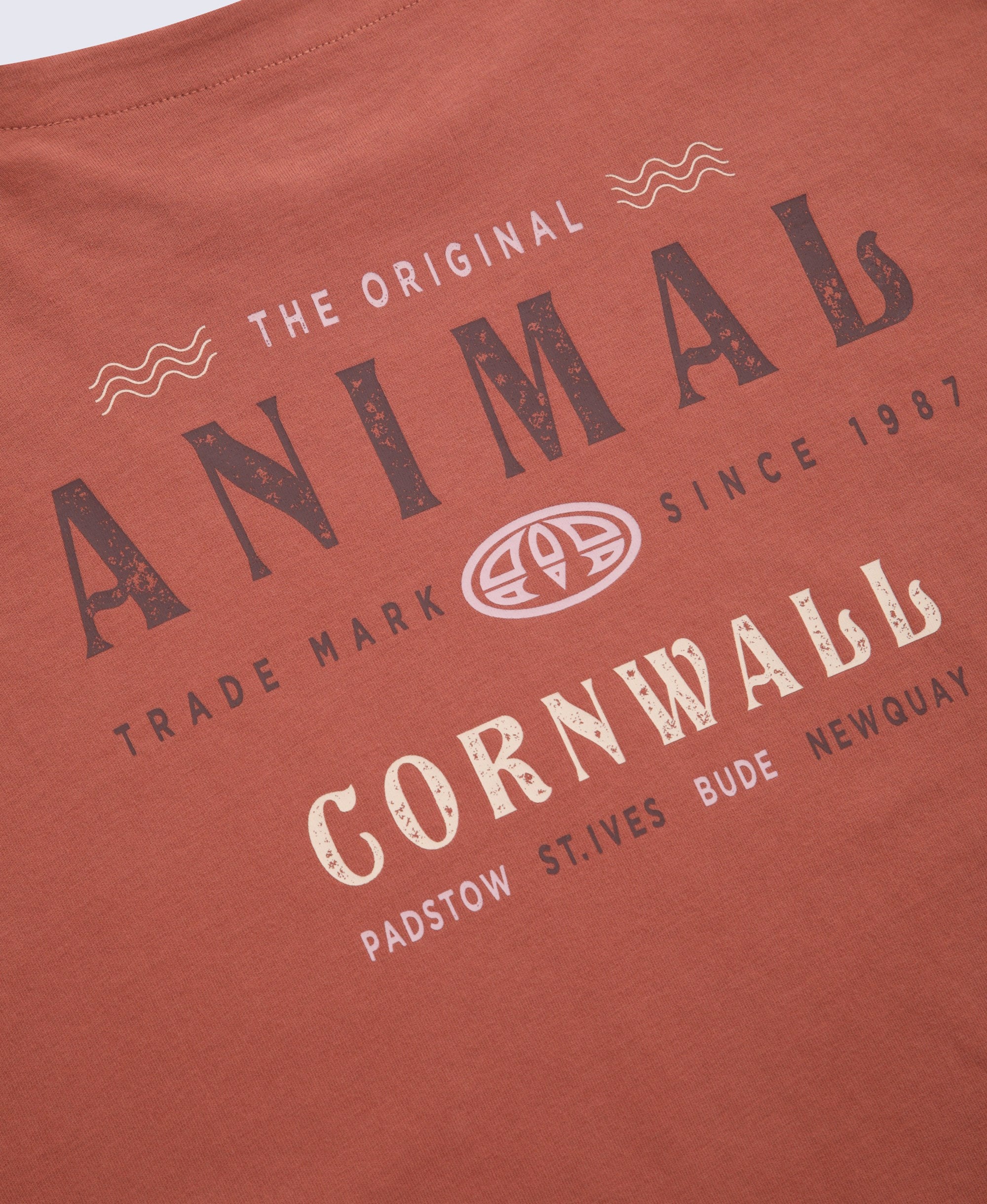 Animal Holly Womens Cornwall Tee - Rust - Image 4