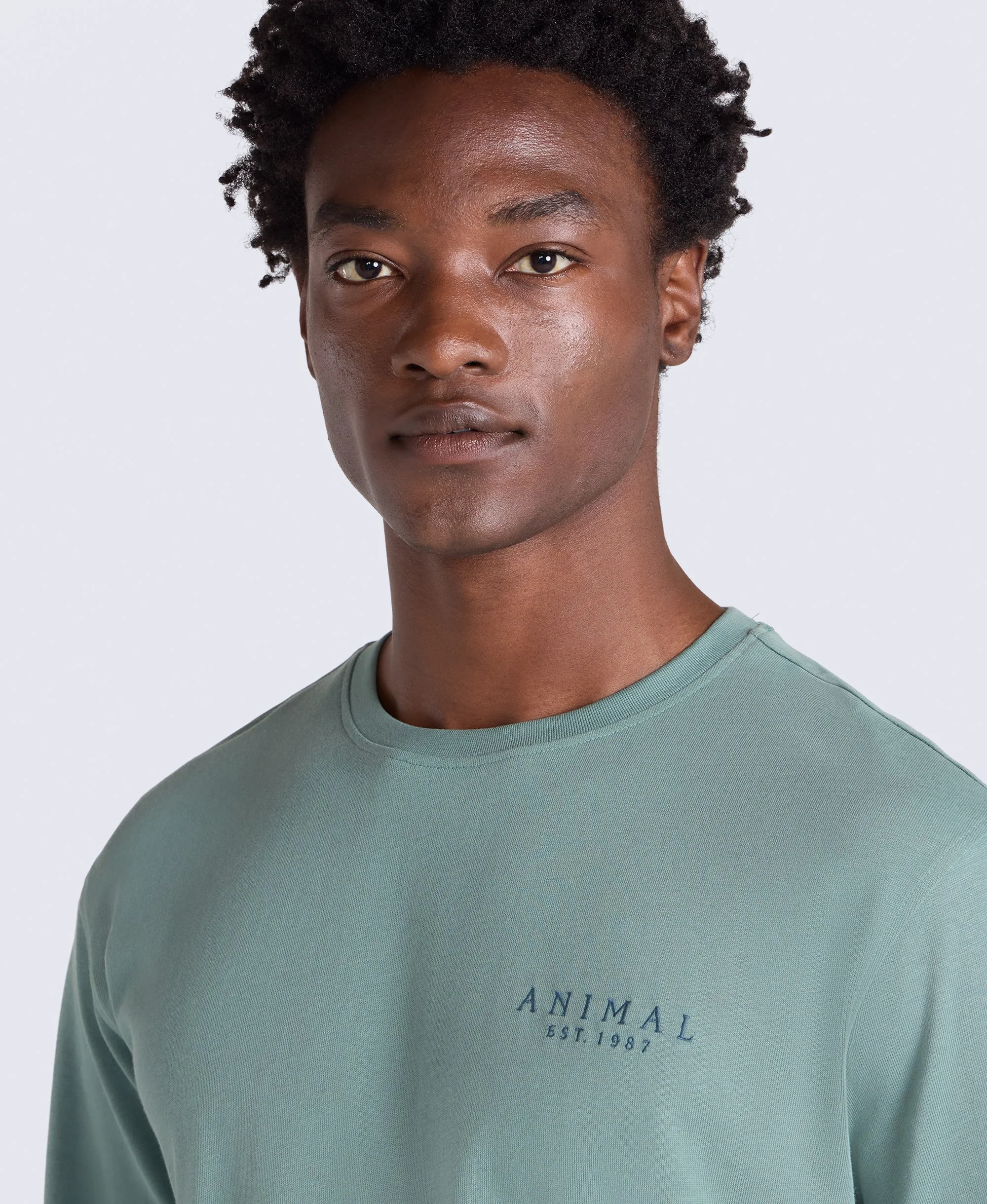 Chase Mens Plain Relaxed T-Shirt - Green - Image 3