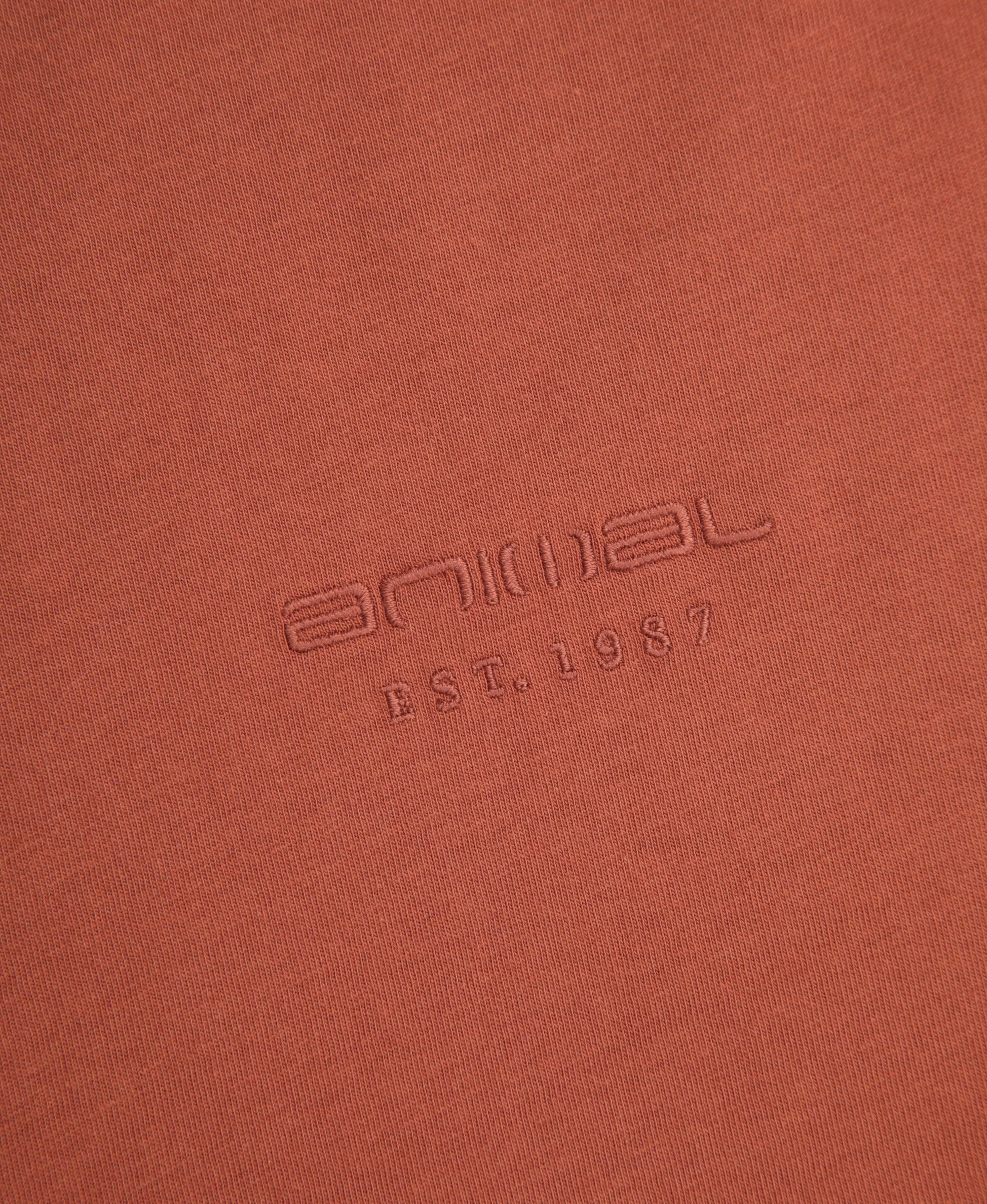 Icon Mens Logo T-Shirt - Rust - Image 9