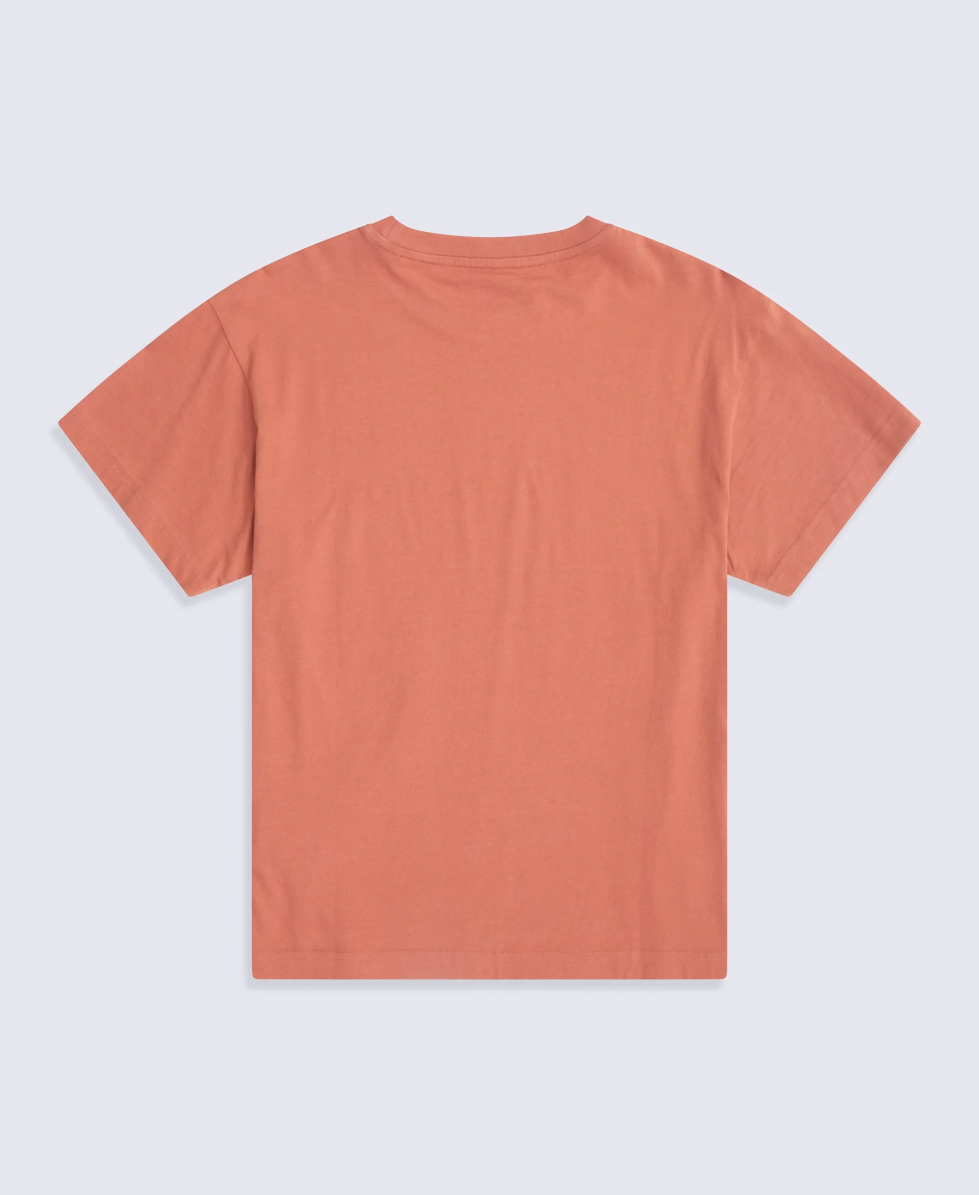 Idol Womens Relaxed Fit T-Shirt - Rust - Image 6