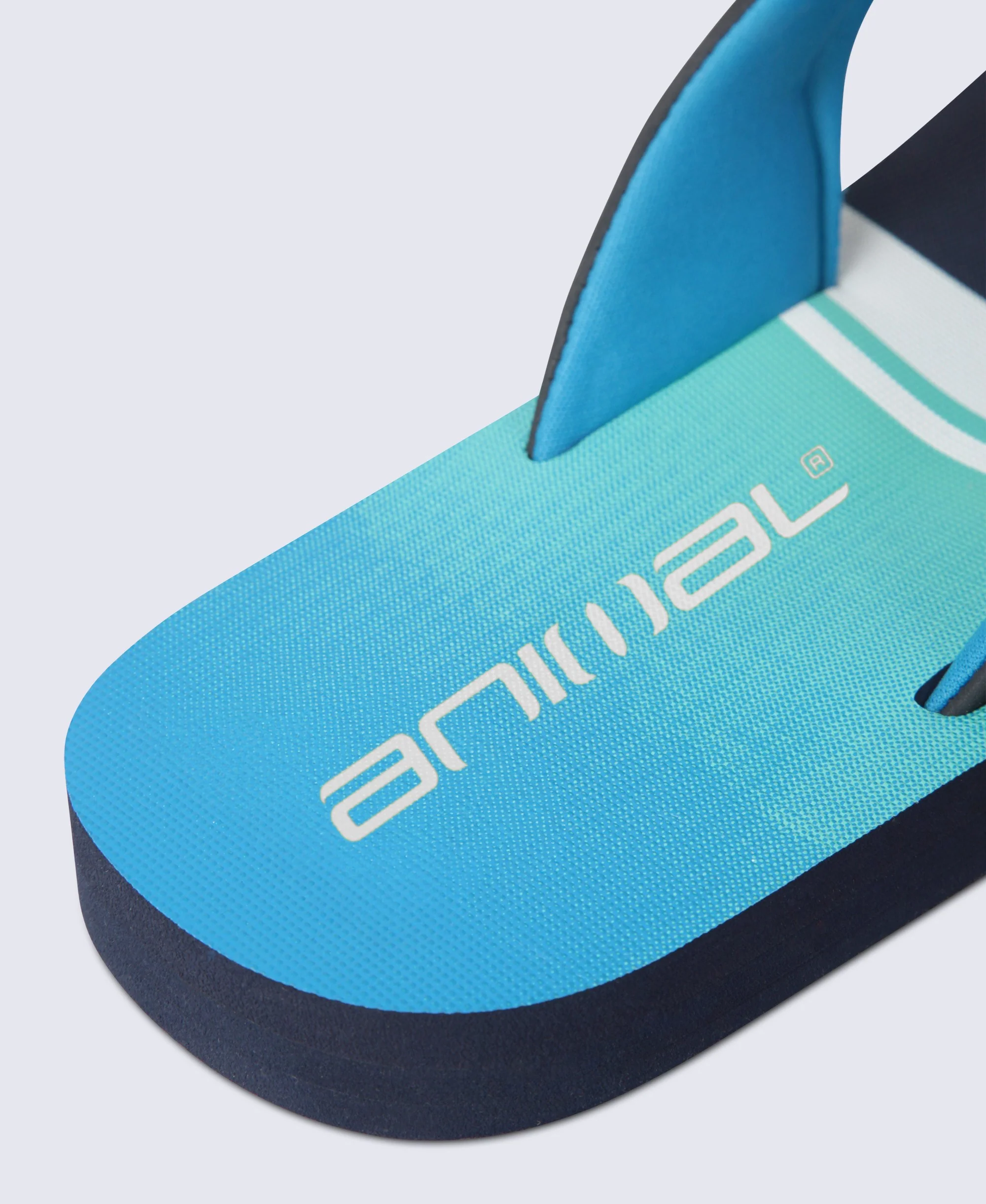 Jekyl Mens Flip-Flops - Blue - Image 16