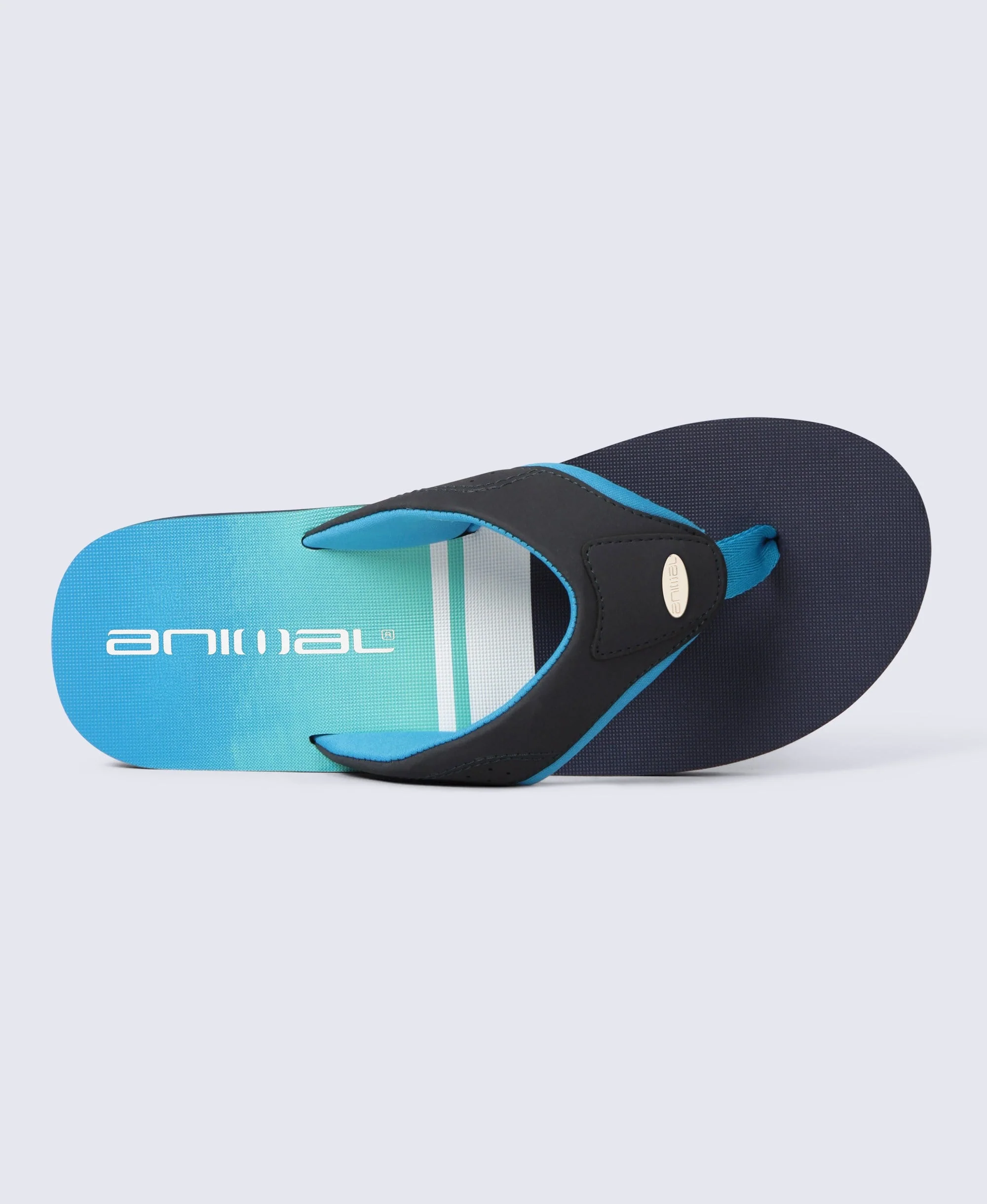 Jekyl Mens Flip-Flops - Blue - Image 4